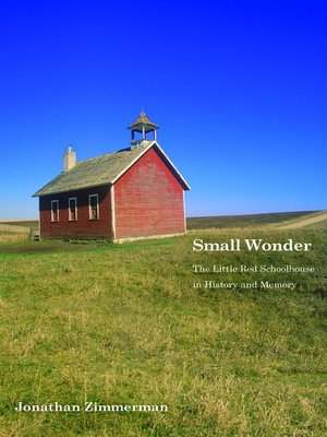 cover image of Small Wonder